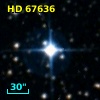 HD  67636