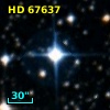 HD  67637