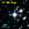 V* BK Pup