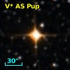 V* AS Pup