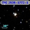 TYC 2838-1772-1