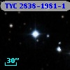 TYC 2838-1981-1