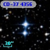 CD-37  4356
