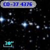 CD-37  4376
