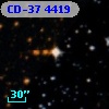 CD-37  4419