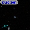 CASG  206