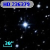 HD 236379
