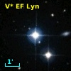 V* EF Lyn