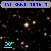 TYC 3661-1016-1