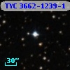 TYC 3662-1239-1
