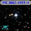 TYC 3662-1377-1