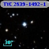 TYC 2839-1492-1