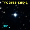 TYC 3665-1250-1