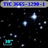 TYC 3665-1290-1