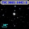 TYC 3665-1442-1
