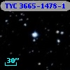 TYC 3665-1478-1