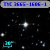 TYC 3665-1606-1
