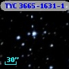 TYC 3665-1631-1