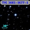 TYC 3665-1677-1