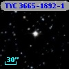 TYC 3665-1892-1