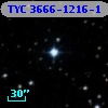 TYC 3666-1216-1