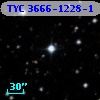TYC 3666-1228-1