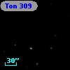 Ton  309