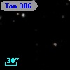 Ton  306