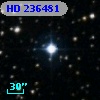 HD 236481