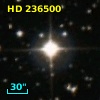 HD 236500