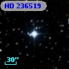 HD 236519