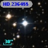 HD 236488