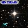 HD 236489