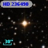 HD 236490