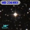 HD 236493
