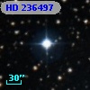 HD 236497