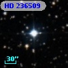 HD 236509