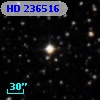 HD 236516
