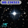 HD 236523