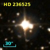 HD 236525