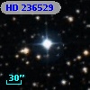 HD 236529