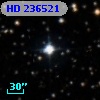 HD 236521