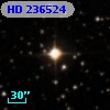 HD 236524