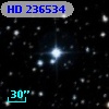 HD 236534