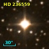 HD 236559