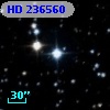 HD 236560
