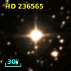 HD 236565