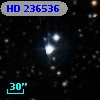 HD 236536