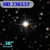 HD 236537