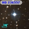 HD 236557